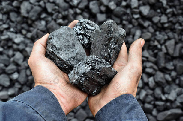 工人矿工手中的煤。<strong>图片</strong>可用于<strong>煤炭</strong>开采、能源或环境保护的理念.