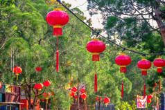 在新的一年中在树上的红色中国灯