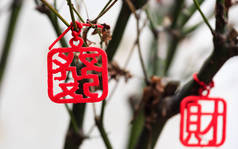 中国传统风格装饰在树上，汉字的意思是丰富 