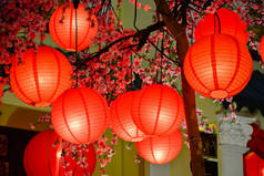 桃花树上的中国灯笼