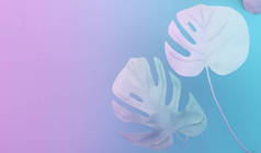 蓝色和紫色背景 3D 渲染上的最小叶子