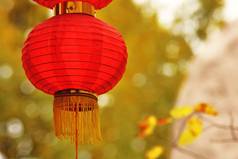 红色的中国灯笼由纸制成，秋叶背景