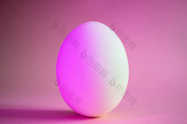 在霓虹灯下的特写蛋呈粉红色。 蛋白质，一种时髦的简单的食物。 简约主义，文本的位置，设计.