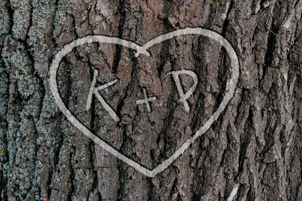以雕刻在树上的心形相亲相爱的人的名字