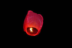 一只红色的中国灯笼在夜空中飞翔. 生日快乐，夏天和婚礼的概念.