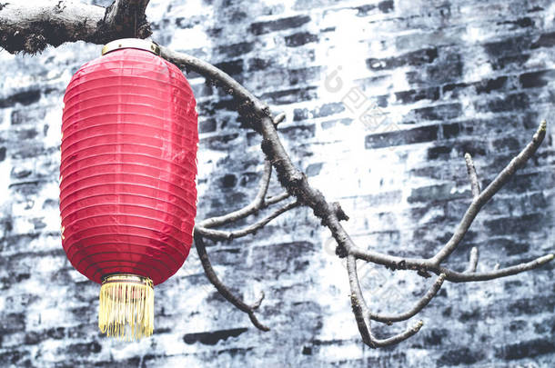 中国灯笼挂在树上。传统的中国灯笼。 红纸灯笼，中国新年装饰品