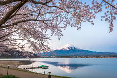 山。 春日在川口湖畔的富士