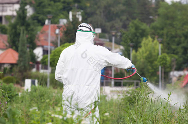 害虫控制工人喷洒杀虫剂