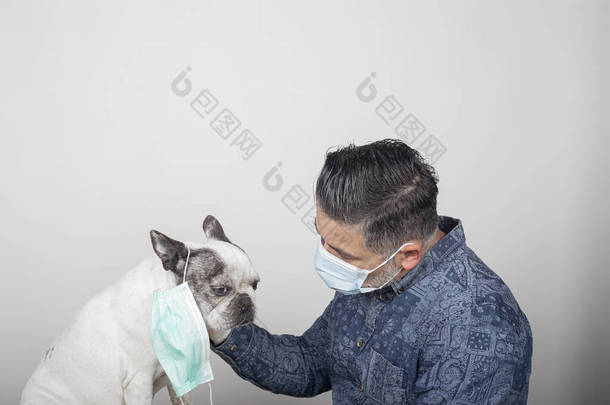 戴着外科保护膜和乳胶手套的男人抚摸着他的宠物。法国斗牛犬