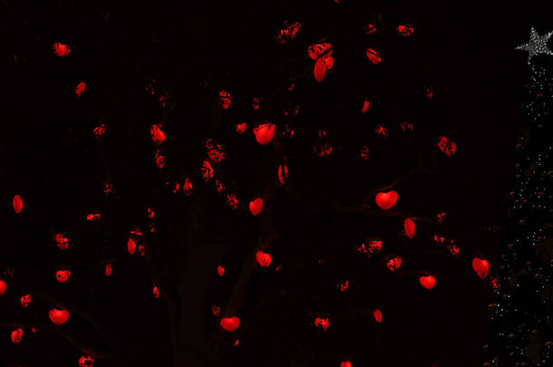 在维也纳公园，情人节浪漫的<strong>红心</strong>灯在夜晚挂在一棵树上。户外爱情概念的自然背景.许多<strong>红心</strong>与漆黑的夜晚作对
