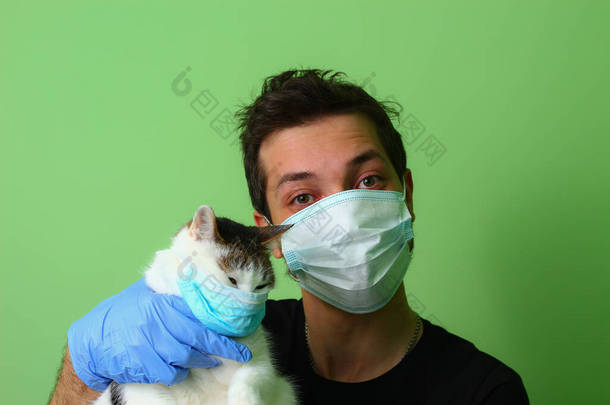 那只猫在一个戴外科医疗面具的男人手里。绿色背景<strong>爱护动物</strong>的概念