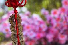 中国冯树的财富和成功是与克努斯共同创造的。农历新年装饰