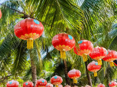 中国海南三亚棕榈背景上色彩艳丽的中国传统红灯笼