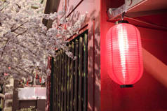 红色的日本灯笼，有樱桃树