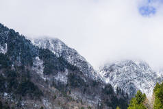 高山市拥有丰富的自然资源，四周环绕着令人叹为观止的风景，每一处风景绚丽多彩，每个角落都有独特的环境。Idyllic波动的山丘提供了惊人的景色.