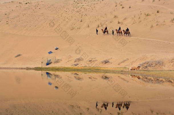 巴丹湖反映了一个小型旅游团乘坐巴克特里安骆驼穿越戈壁沙漠的巴丹贾兰-巴丹尼林沙莫湖-神秘湖泊沙漠。阿尔萨高原-内蒙古-中国