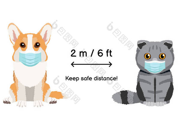 保持2米6英尺的距离，用戴口罩的动物传播预防感染的信息标志。威尔士科奇刺绣和苏格兰折叠猫