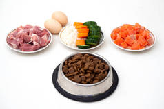 将宠物狗干粮放在装有天然配料的碗里.生肉,鱼,蔬菜,鸡蛋和沙拉.宠物正确、均衡和健康营养的概念，特写