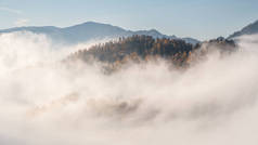 阿尔泰山上的雾。雾中看得见一座森林覆盖的山.秋日.