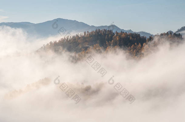 阿尔泰山上的雾。雾中看得见一座森林覆盖的山.秋日.