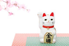 日本的幸运猫在白色背景下被隔离，日本人对这张照片的理解是经济上的好运  