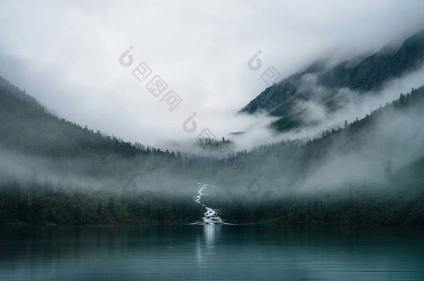 小溪在树间奔流，流入高山湖中。多雾的景色,高原湖,低云密林.浓雾中的针叶林高山大气景观.