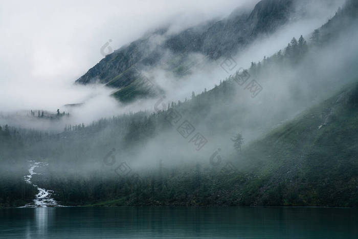 高山小溪流经森林，流入高山湖中。多雾的风景，高山湖泊，低云密林。浓雾中的针叶树的大气景观.