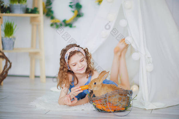 可爱的小女孩喂胡萝卜蓬松的小兔子，照顾和生活