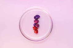 带有红色勃艮第和紫色口红纹理的Petri碗。浅紫色的背景。从上面看.
