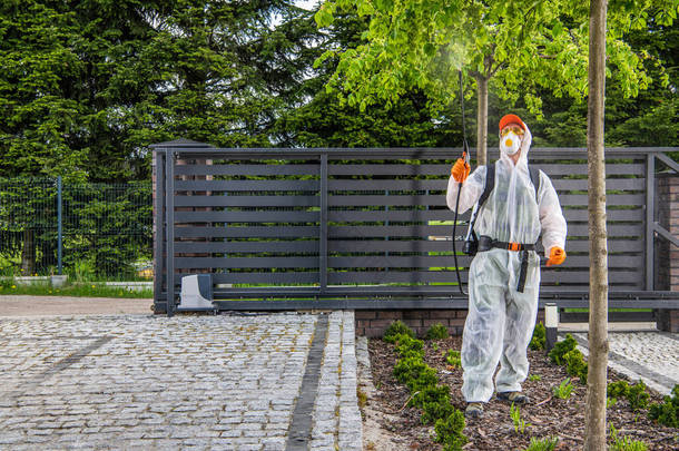 Fungicides and Insecticide Backyard Garden Trees by Professional Garden Worker Wearing Protective Su