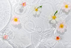 有美丽玫瑰花瓣的贺卡硕大，滴滴飘浮在水面上，收起。它可以用作背景