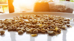 褐色的生咖啡种子在白色的盘子里，有窗户的倒影和阳光灿烂的背景