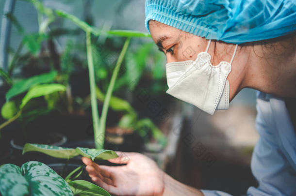 从事农业温室生长植物、自然有机科学技术或植物学实验室生物技术研究的生物学科学家，为食品工业检查蔬菜的人