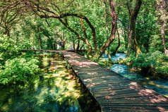深绿色森林中的木径。克罗地亚，欧洲，克尔卡国家公园美丽的夏季风景。地中海国家美丽的世界。旅行概念背景