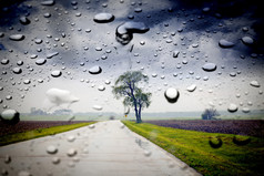 在雨中的乡村道路