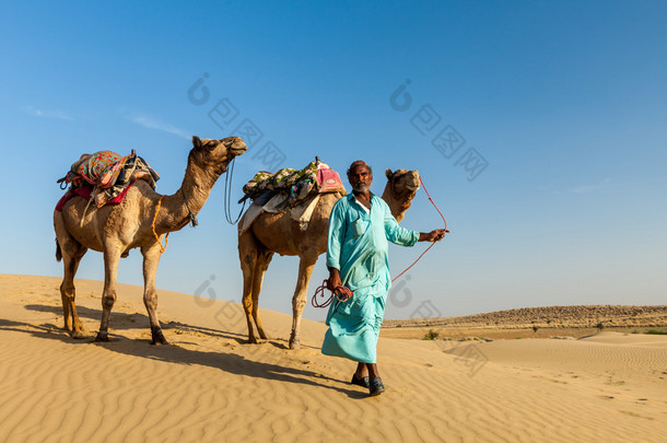 Cameleer (骆驼) 牵着骆驼在沙漠的沙丘上。拉杰
