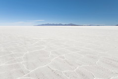 在玻利维亚盐沙漠.