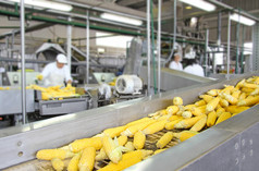 玉米芯生产线在食品工业上