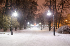 小巷里的冰冷的树木公园点亮路灯