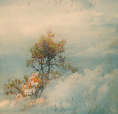 抽象 grunge 染色老龄化背景红叶树和多云的天空
