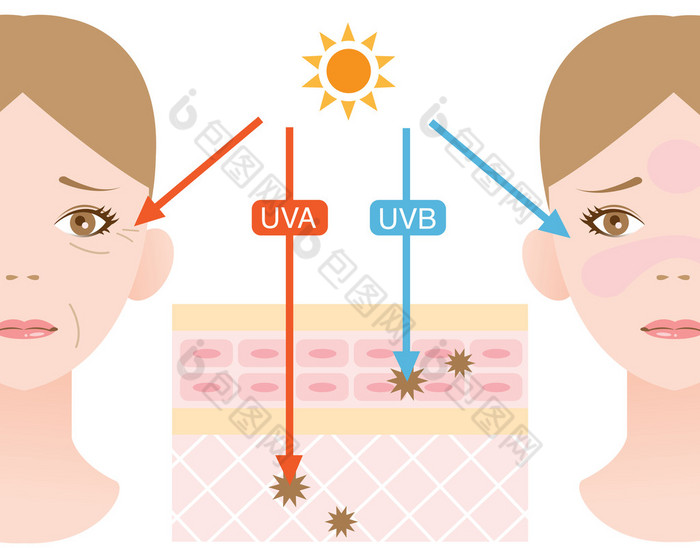 信息图皮肤插图。乌瓦射线和Uvb射线穿透力的区别
