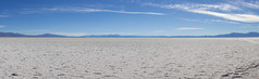 阿根廷胡胡伊省的盐荒漠