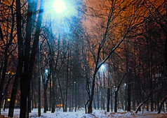 冬季城市公园路灯 