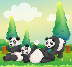 三只熊猫公园里玩