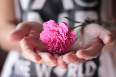 手里拿着一朵粉红色的康乃馨花.