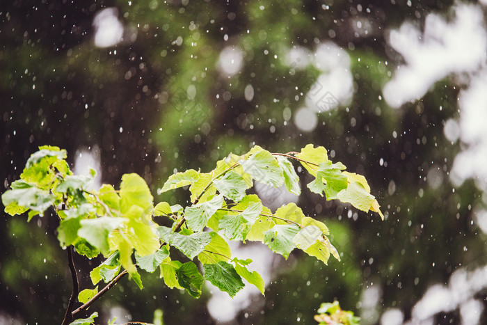 夏天下雨外面瓢泼大雨