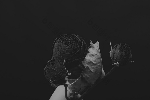 干玫瑰中的烟，黑色和白色的<strong>创意照片</strong>