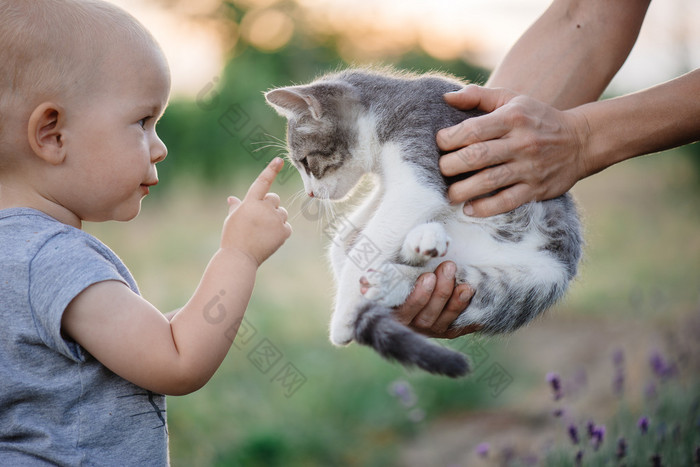 小孩在玩猫在花园里.