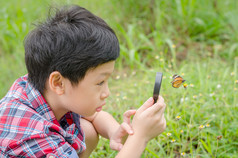 男孩用放大镜观察蝴蝶 