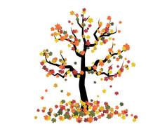 秋天落叶的树